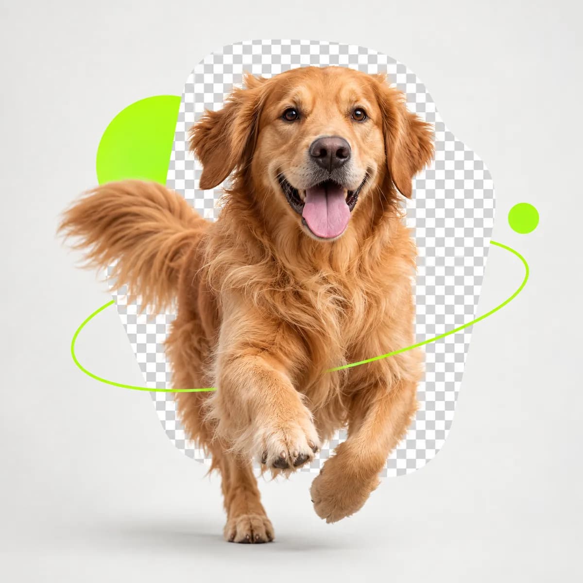Cropped colorful subject separated from a neutral background representing Background Remover